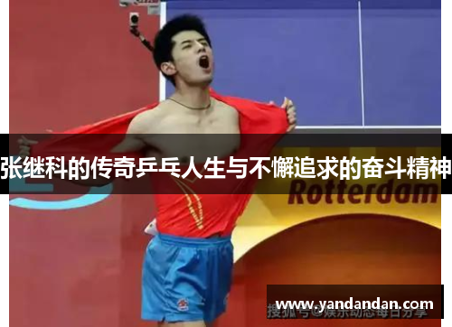 张继科的传奇乒乓人生与不懈追求的奋斗精神